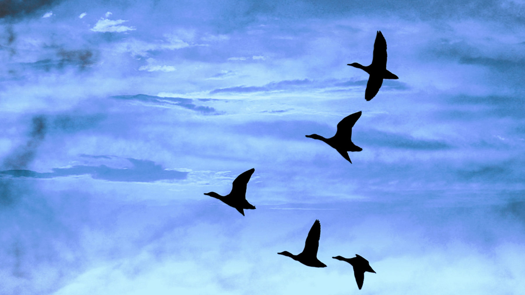 Aktiv360 | Kalite - Uyum - Süreç Danışmanlığı